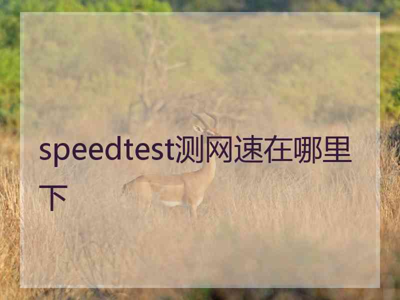 speedtest测网速在哪里下