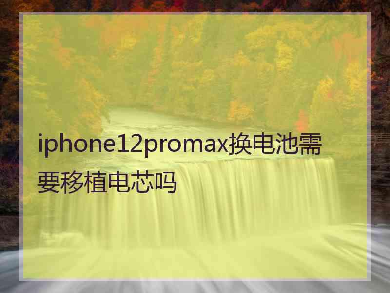 iphone12promax换电池需要移植电芯吗