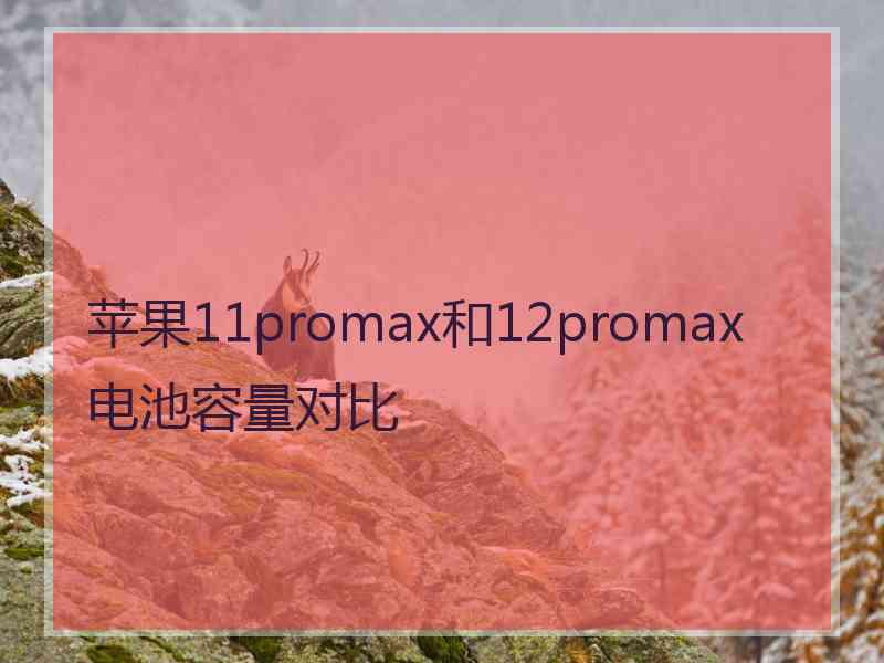 苹果11promax和12promax电池容量对比