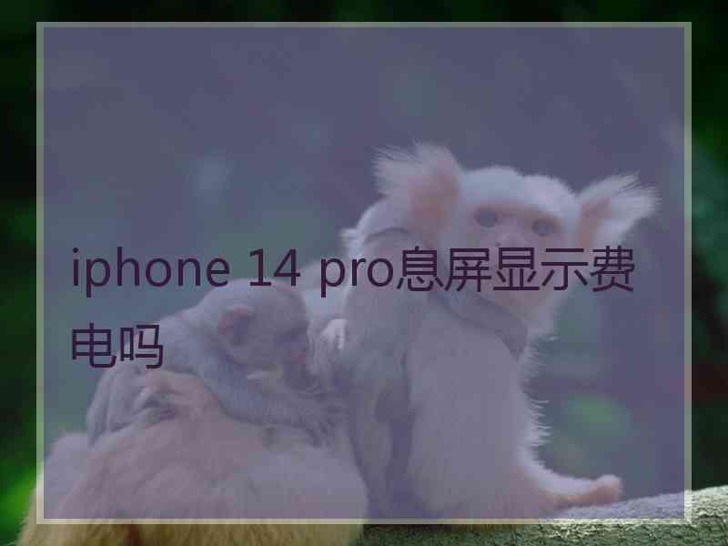 iphone 14 pro息屏显示费电吗