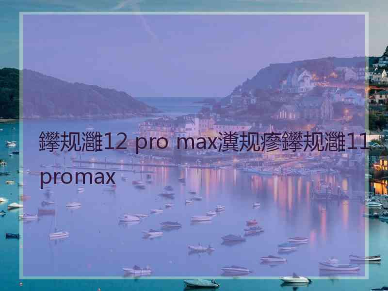 鑻规灉12 pro max瀵规瘮鑻规灉11promax