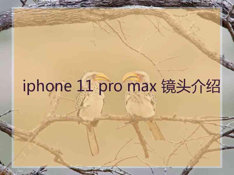 iphone 11 pro max 镜头介绍