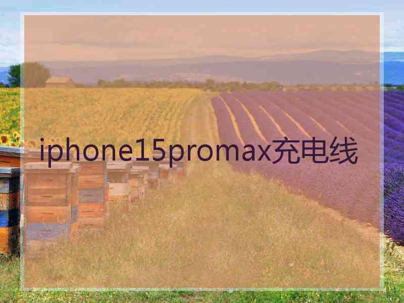 iphone15promax充电线