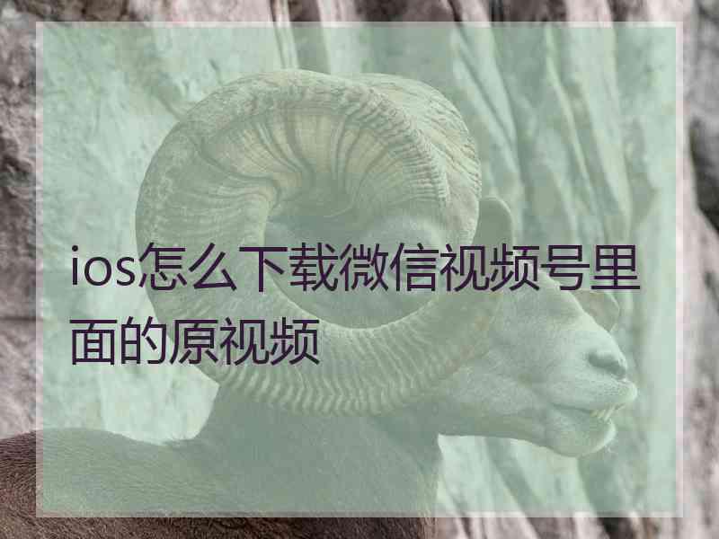 ios怎么下载微信视频号里面的原视频