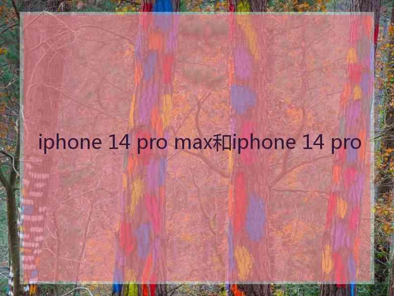 iphone 14 pro max和iphone 14 pro