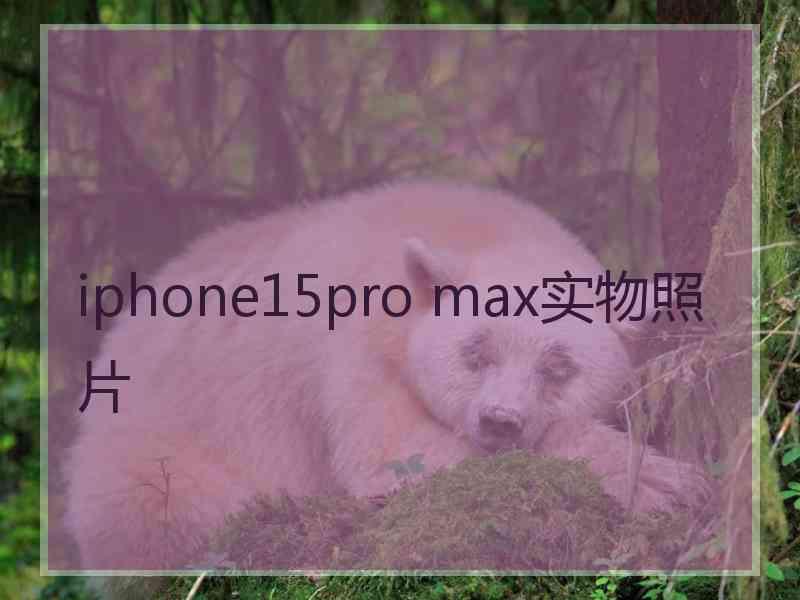 iphone15pro max实物照片