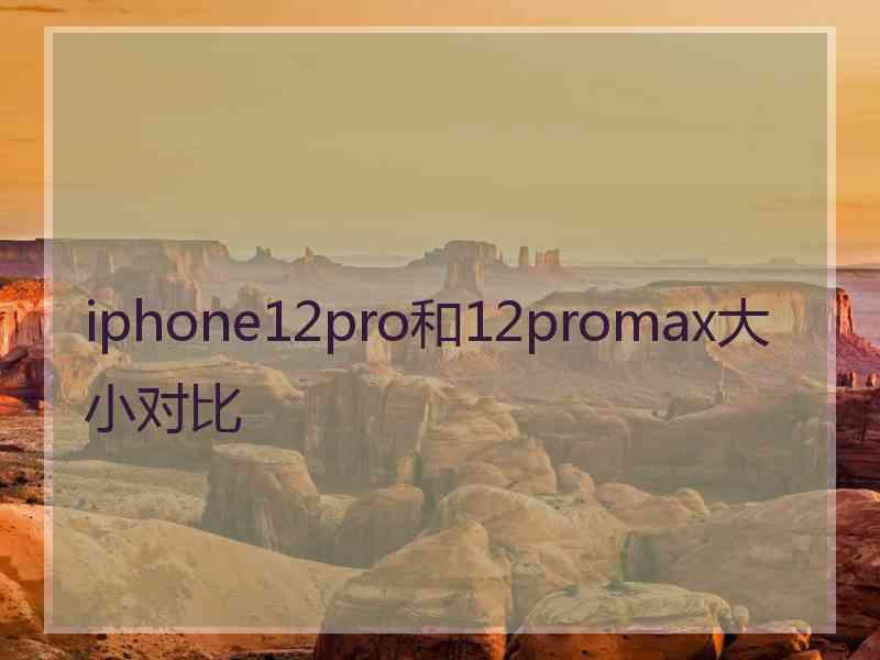 iphone12pro和12promax大小对比