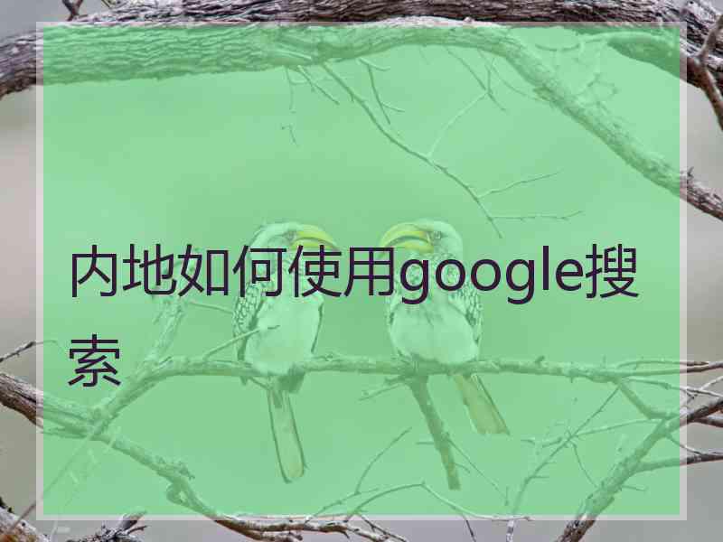 内地如何使用google搜索