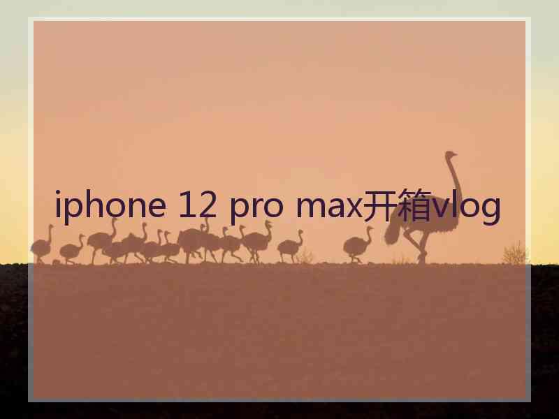 iphone 12 pro max开箱vlog