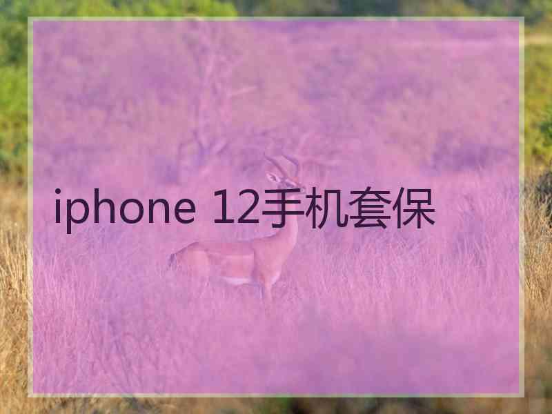 iphone 12手机套保