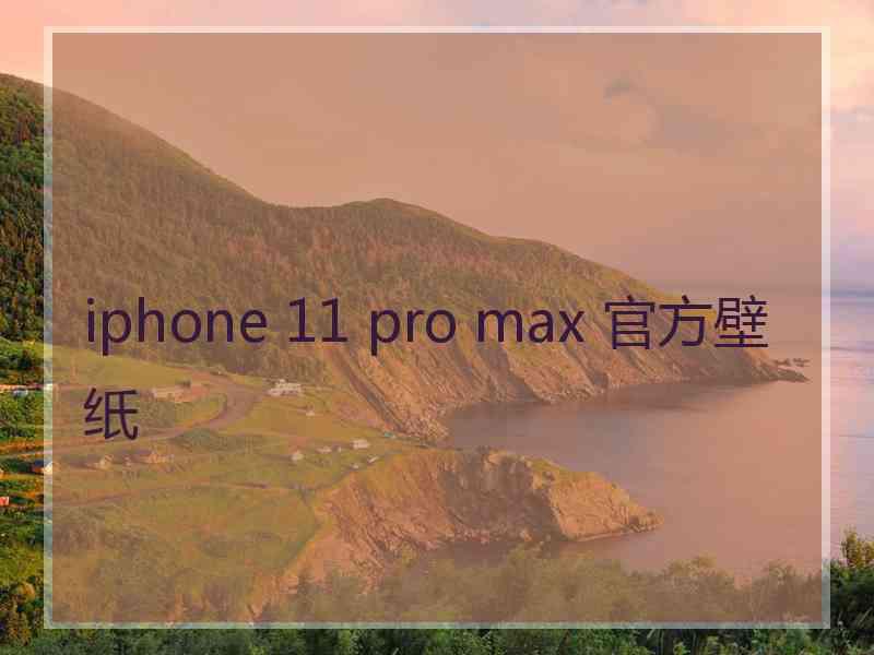 iphone 11 pro max 官方壁纸