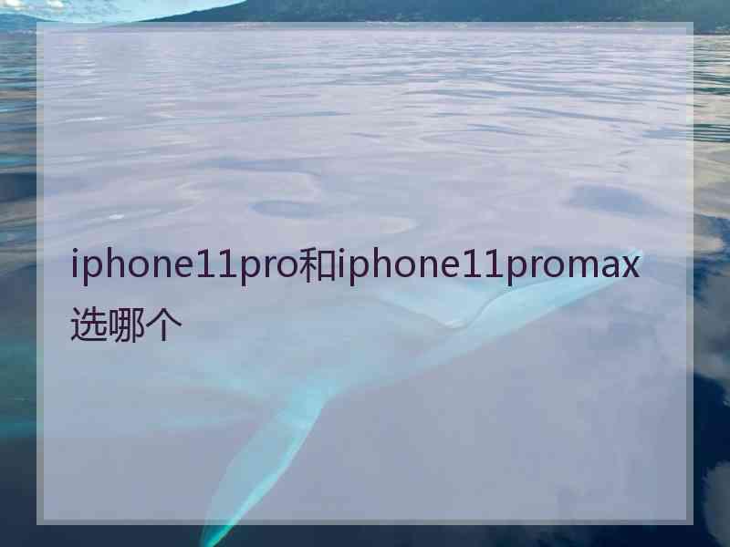 iphone11pro和iphone11promax选哪个