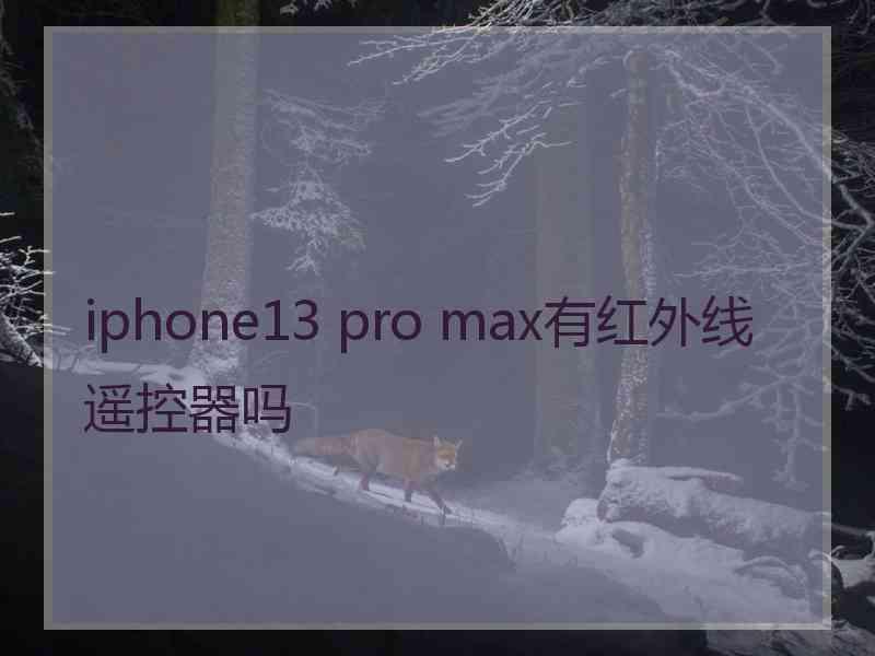 iphone13 pro max有红外线遥控器吗