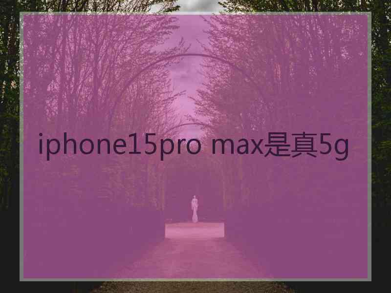 iphone15pro max是真5g