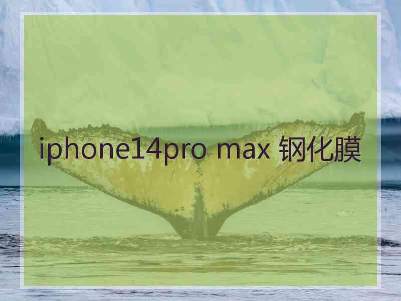 iphone14pro max 钢化膜