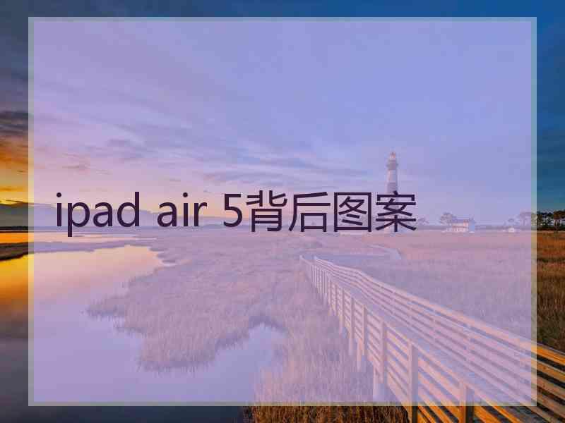 ipad air 5背后图案