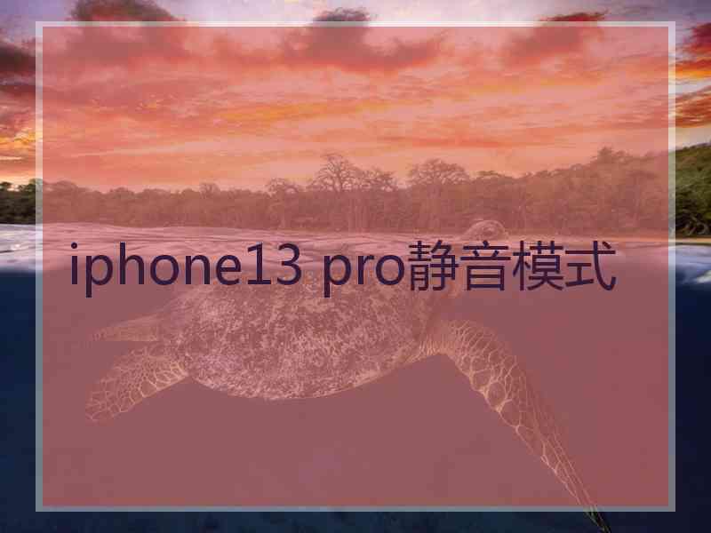 iphone13 pro静音模式