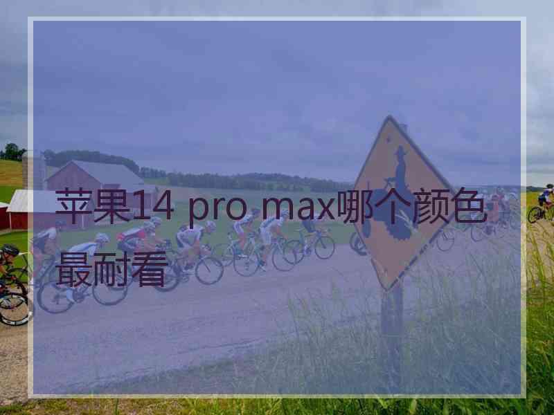 苹果14 pro max哪个颜色最耐看