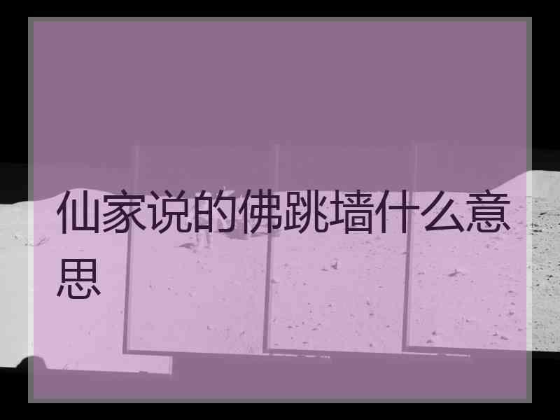 仙家说的佛跳墙什么意思