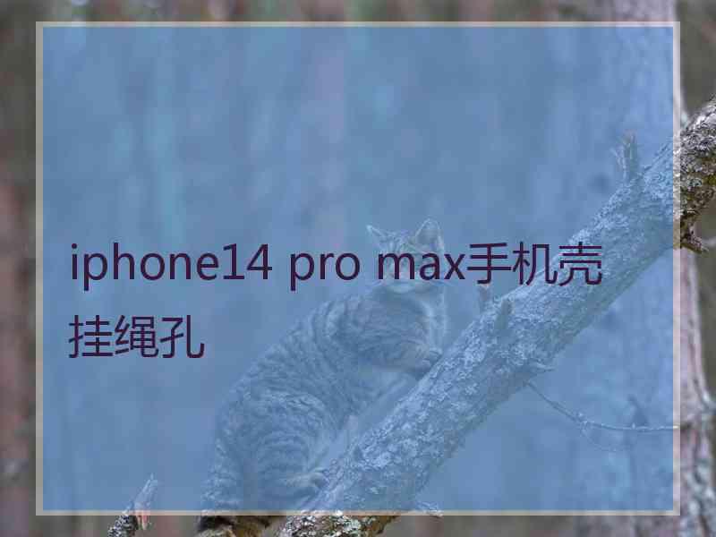 iphone14 pro max手机壳挂绳孔