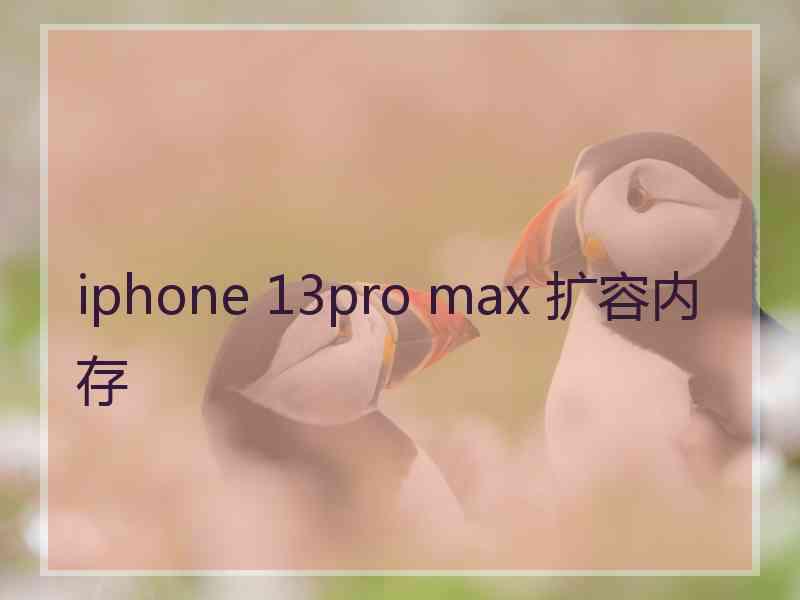 iphone 13pro max 扩容内存