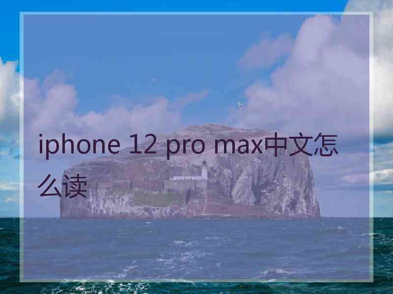 iphone 12 pro max中文怎么读