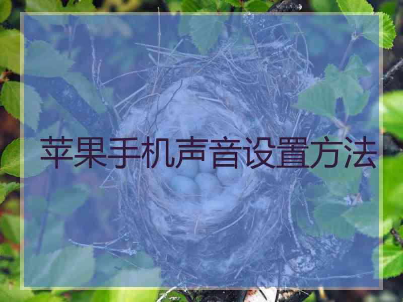 苹果手机声音设置方法