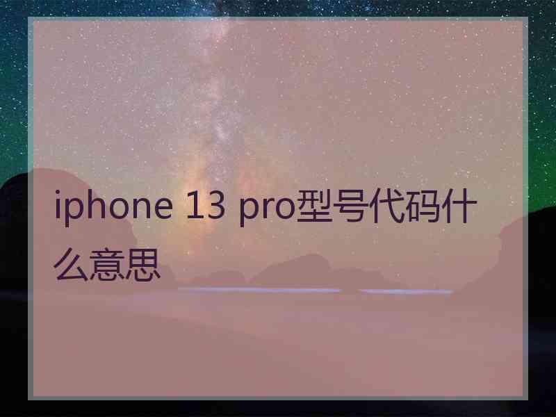 iphone 13 pro型号代码什么意思