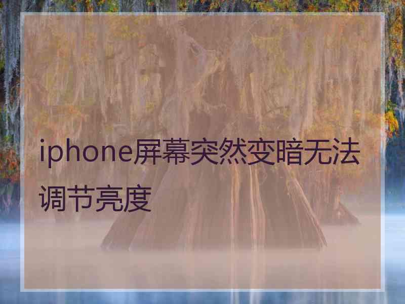 iphone屏幕突然变暗无法调节亮度