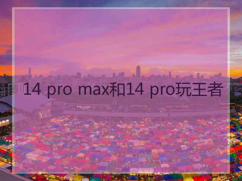 14 pro max和14 pro玩王者