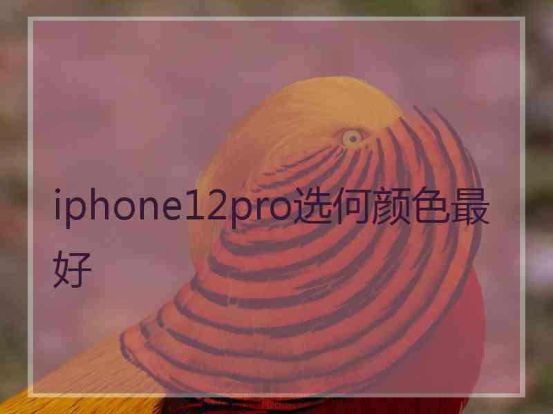 iphone12pro选何颜色最好