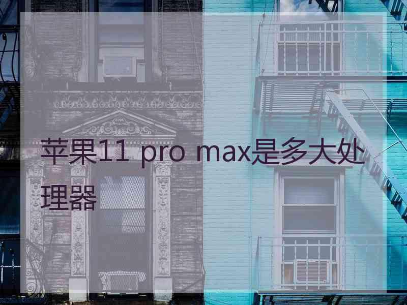 苹果11 pro max是多大处理器