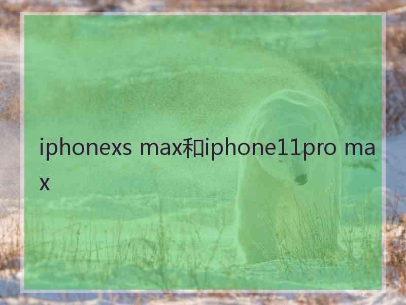 iphonexs max和iphone11pro max