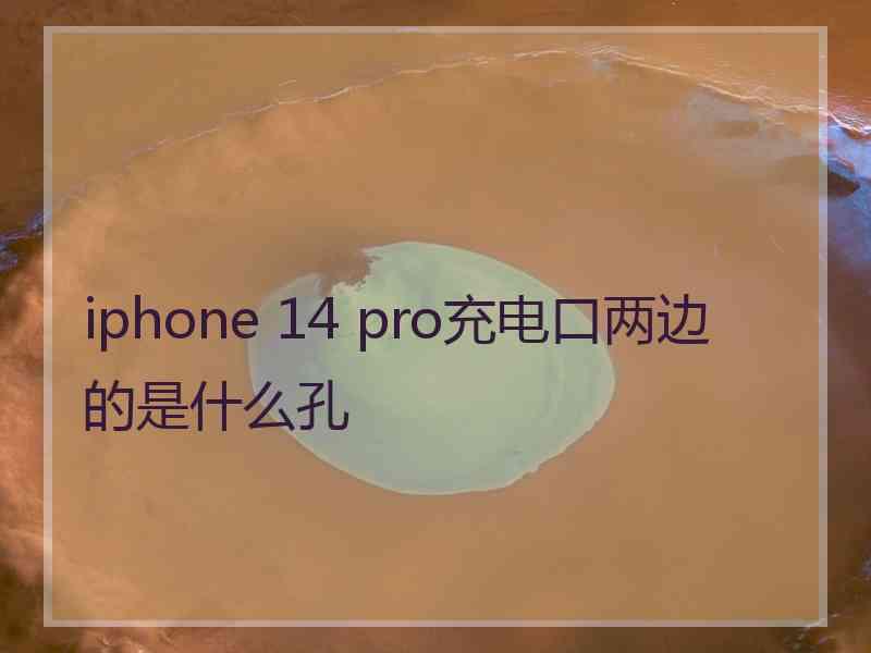 iphone 14 pro充电口两边的是什么孔