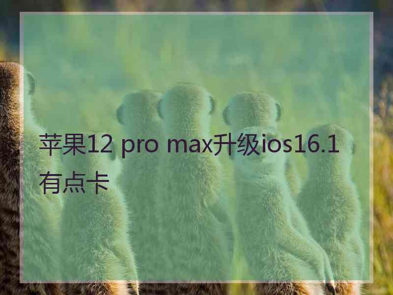 苹果12 pro max升级ios16.1有点卡