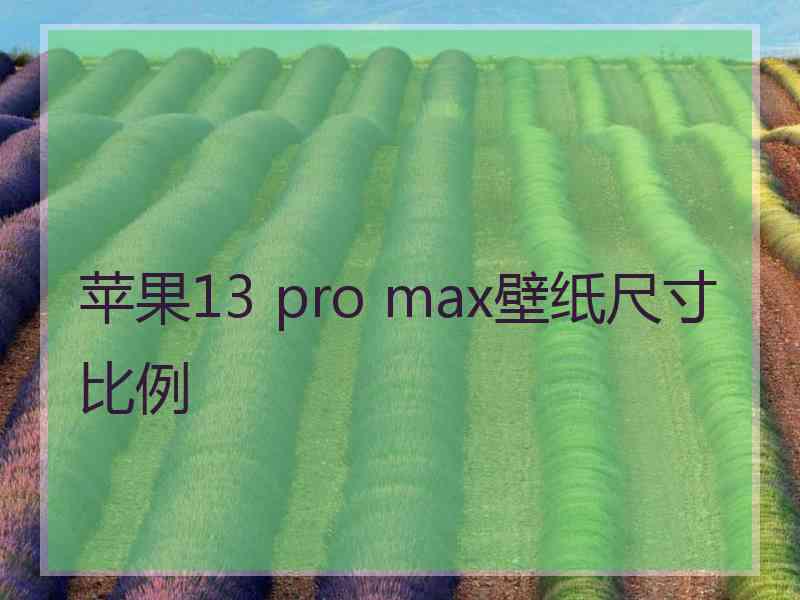 苹果13 pro max壁纸尺寸比例