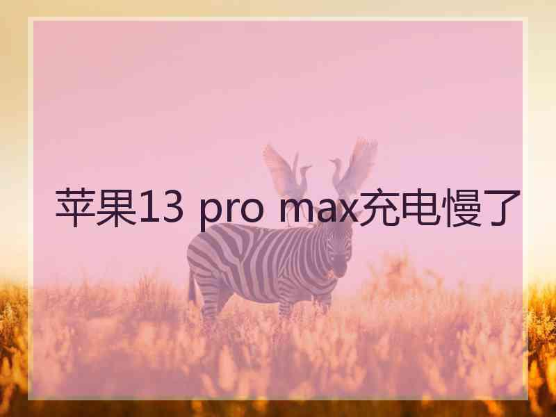 苹果13 pro max充电慢了