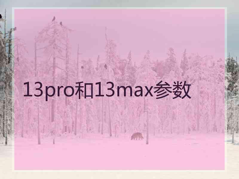 13pro和13max参数