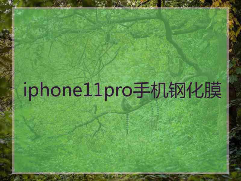 iphone11pro手机钢化膜