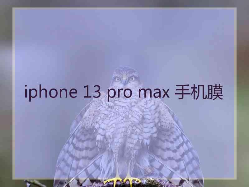 iphone 13 pro max 手机膜