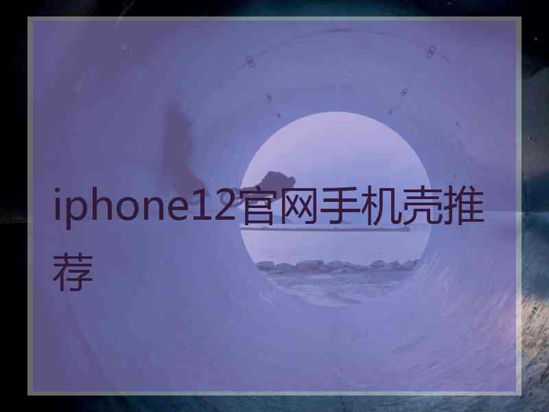 iphone12官网手机壳推荐