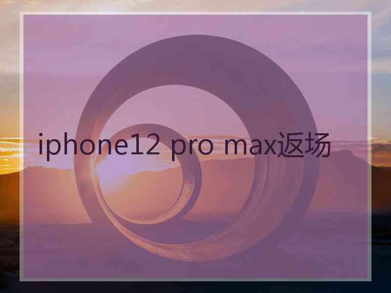 iphone12 pro max返场