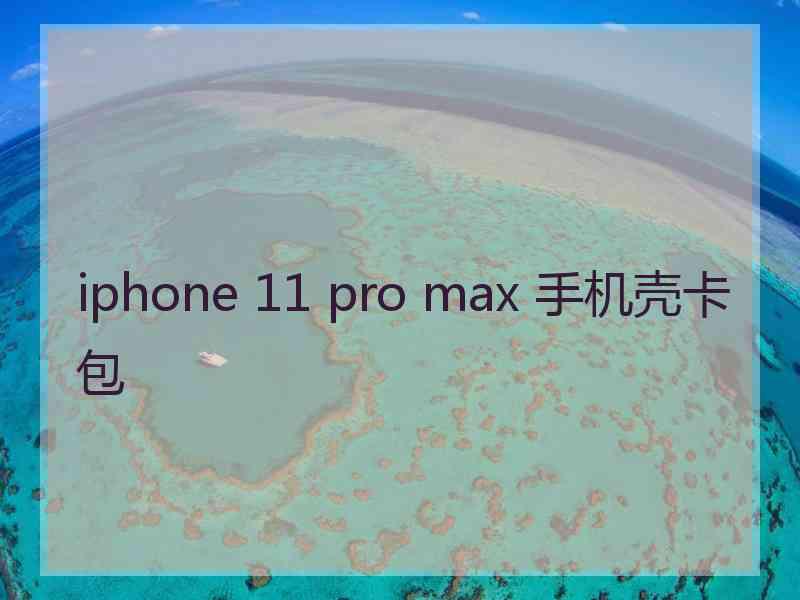 iphone 11 pro max 手机壳卡包