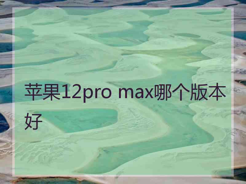 苹果12pro max哪个版本好