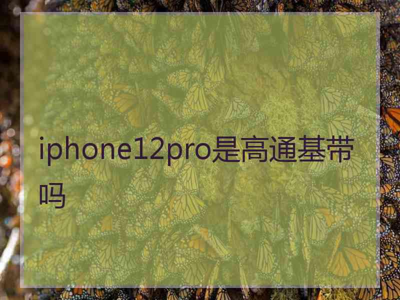 iphone12pro是高通基带吗