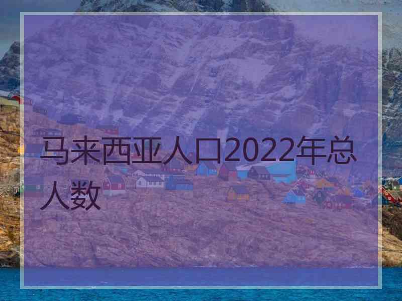 马来西亚人口2022年总人数