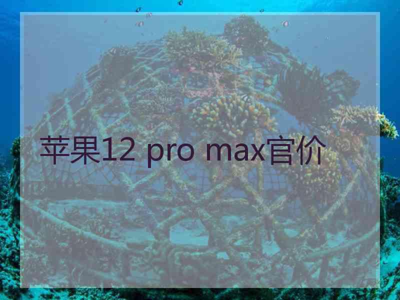 苹果12 pro max官价