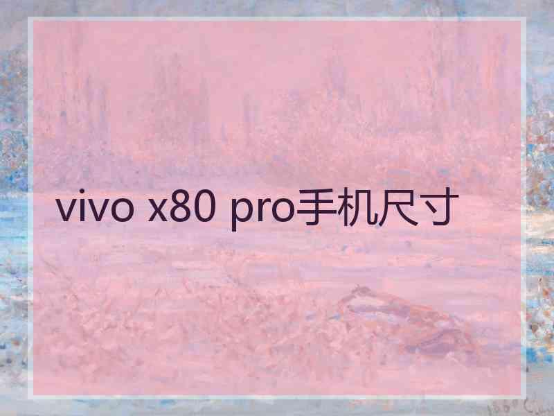 vivo x80 pro手机尺寸