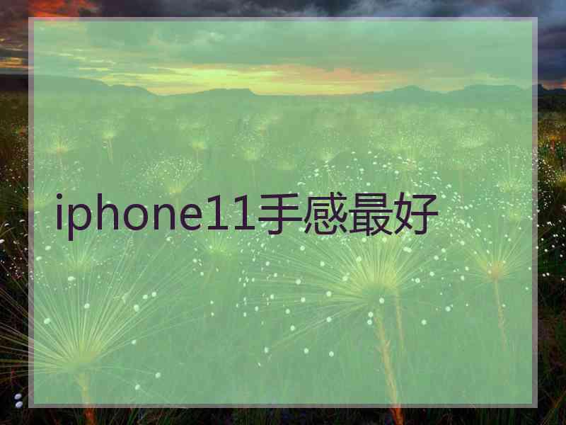 iphone11手感最好