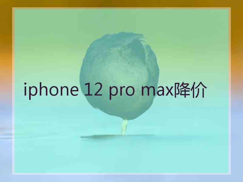 iphone 12 pro max降价